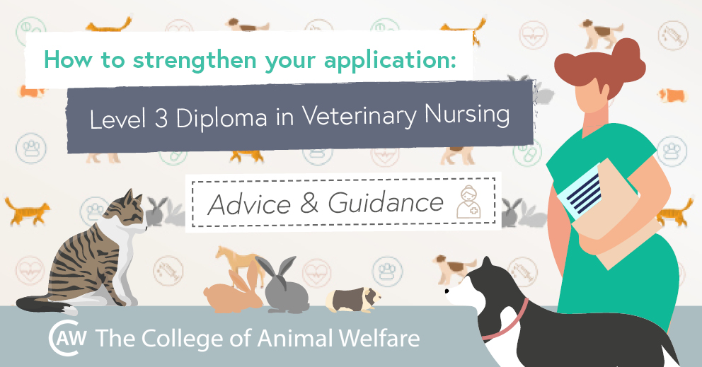 Application help Level 3 Diploma in V CAW