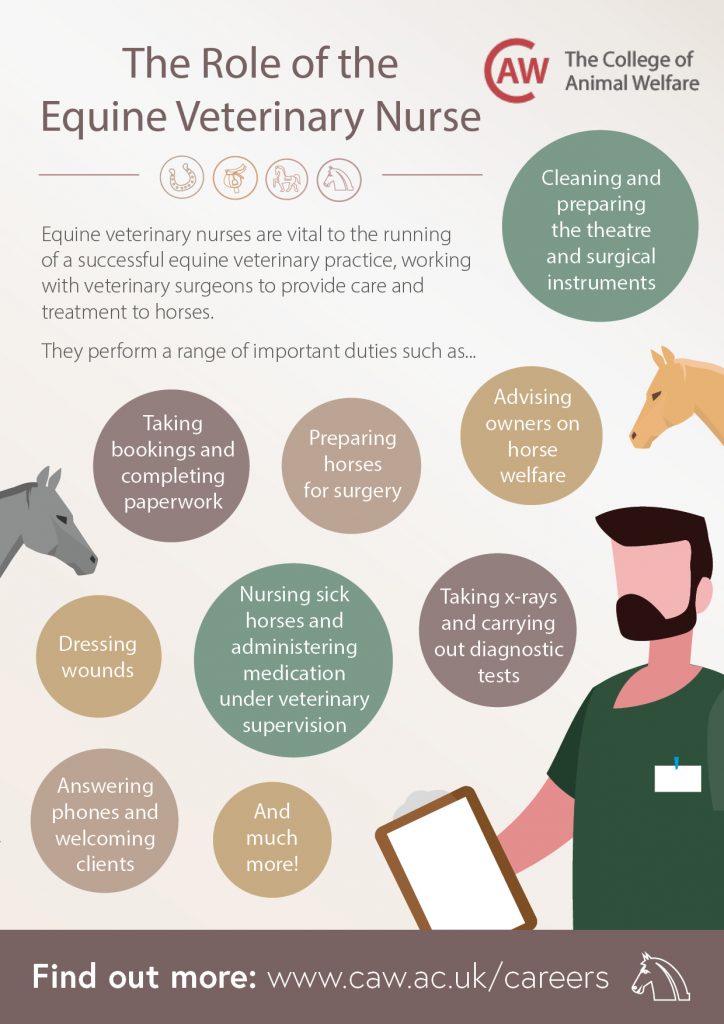 The Role of the Equine Veterinary Nurse Poster