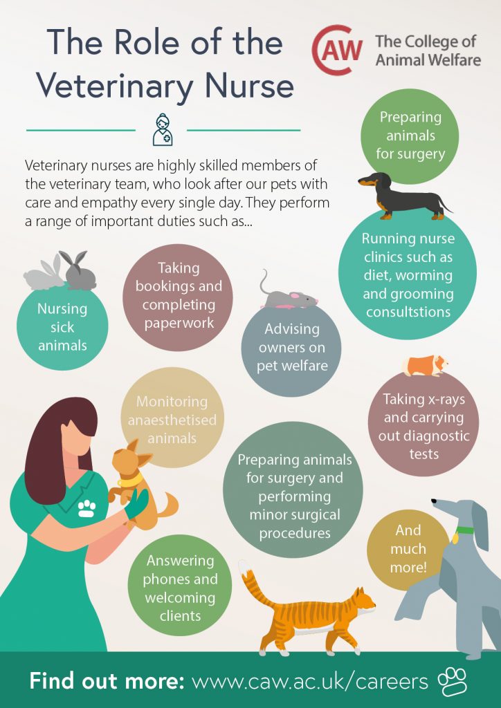 The Role of the Veterinary Nurse Poster