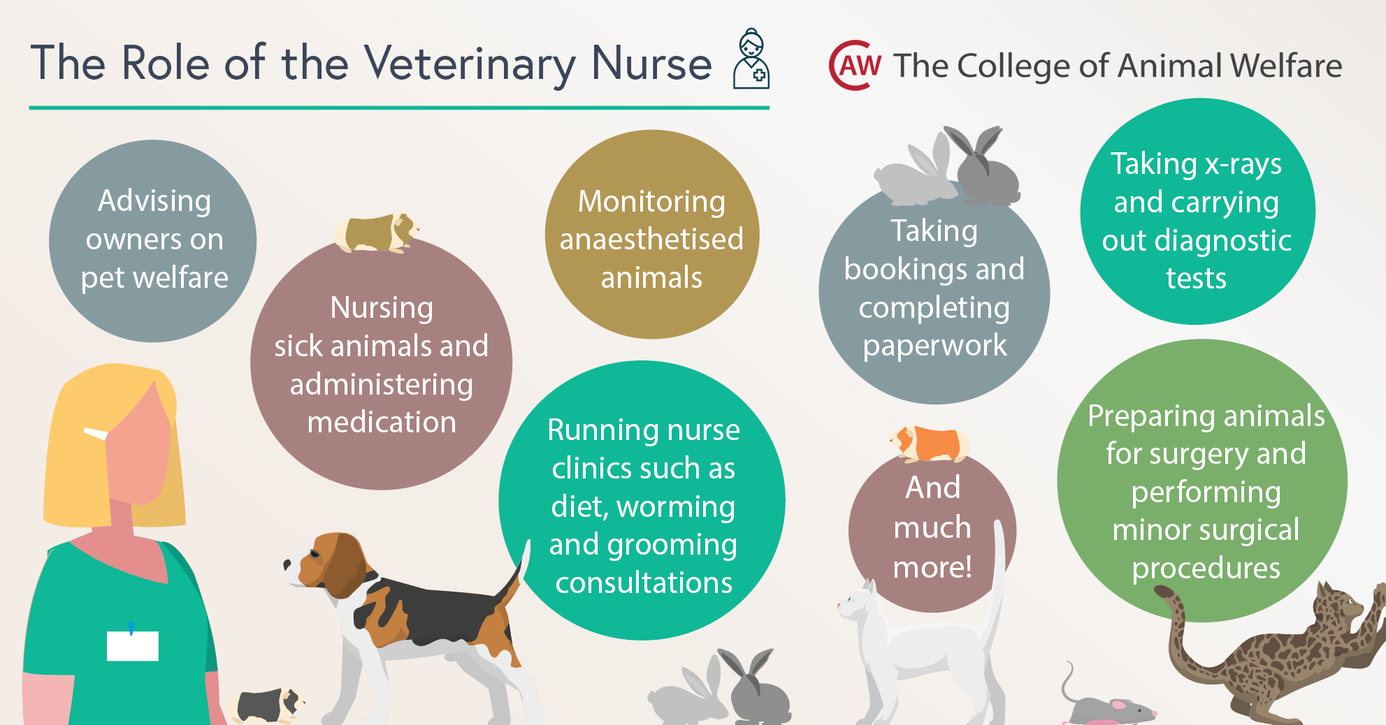 Veterinary Nurse (Small Animal) | CAW Careers Advice