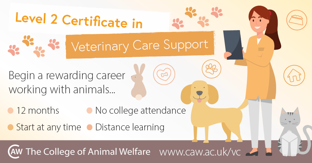 VetSkill Level 2 Certificate in Veterinary Ca ... | CAW