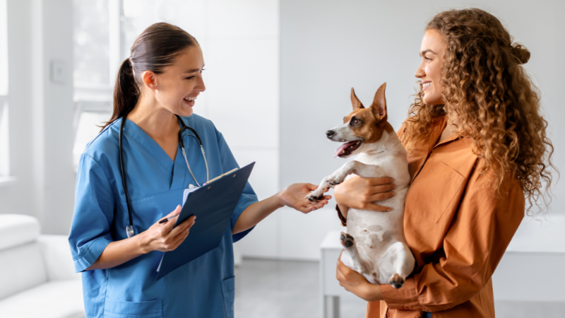 Veterinary nurse wearing blue scrub top admitting a patient during a consultation
