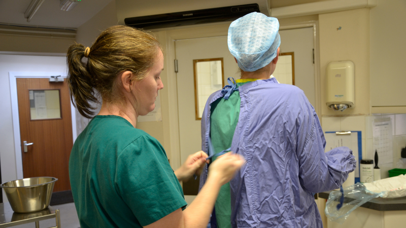 Veterinary care assistant tying the gown of a vet ready for them to begin surgery on a patient