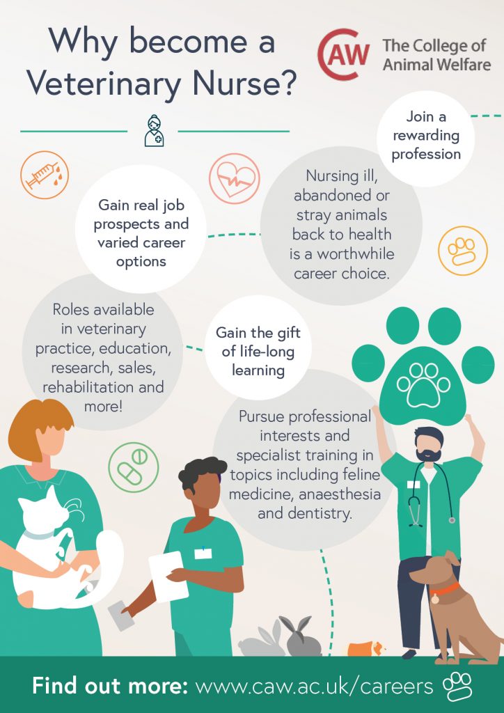 Why Become a Veterinary Nurse Poster