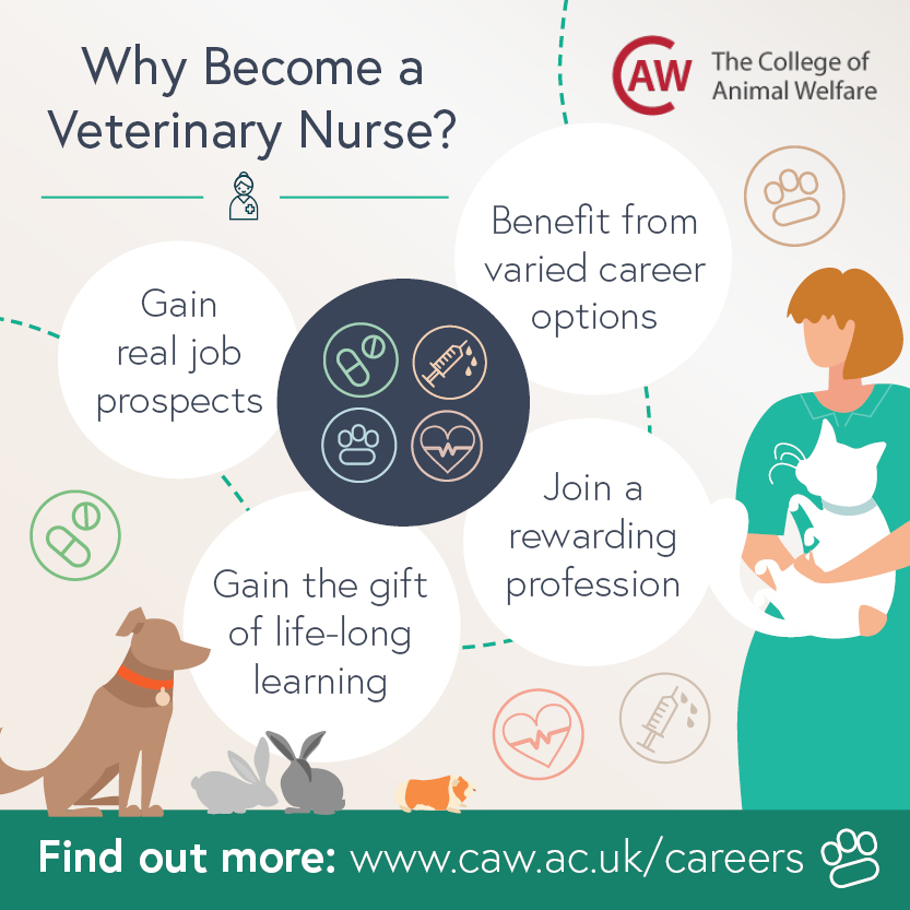 Why Become a Veterinary Nurse Social Image