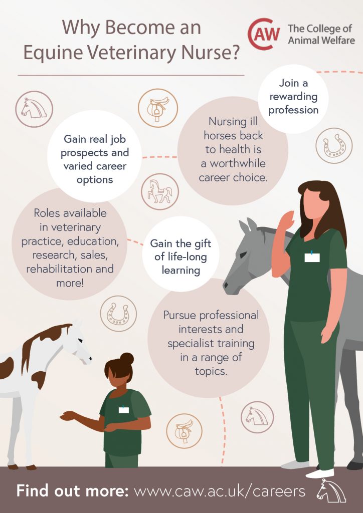 Why Become an Equine Veterinary Nurse Poster