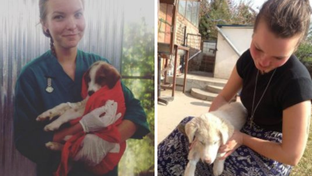 Heidi Price volunteering with dogs abroad
