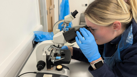 Student vet nurse wearing blue gloves looking through a microscope