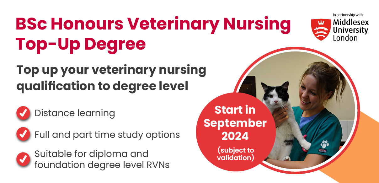 BSc Honours Veterinary Nursing Top Up Degree