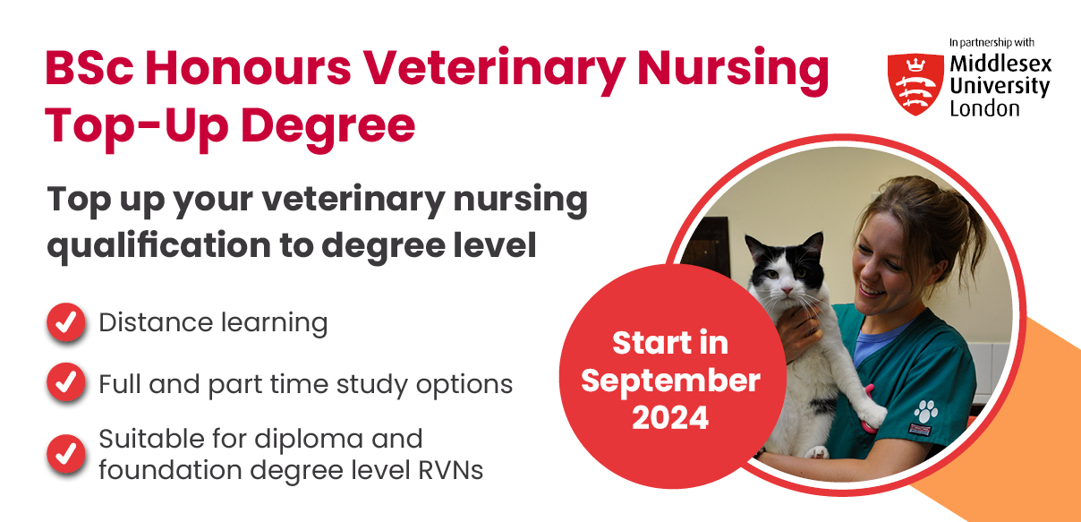 BSc Honours Veterinary Nursing Top Up Degree