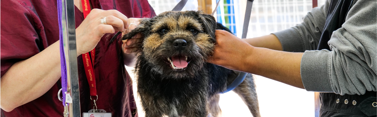 The College of Animal Welfare (CAW)