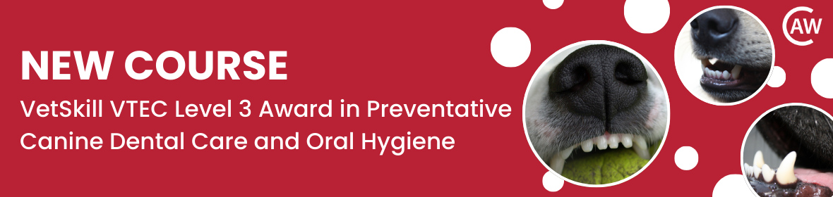 Level 3 Award in Preventative Canine Dental Care and Oral Hygiene