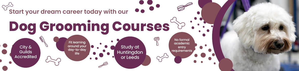 Dog Grooming Courses at CAW