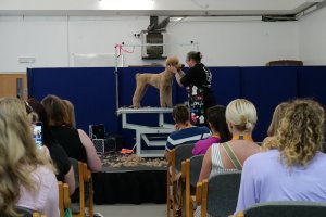 Dog Grooming Congress 2026 is open for registration now!