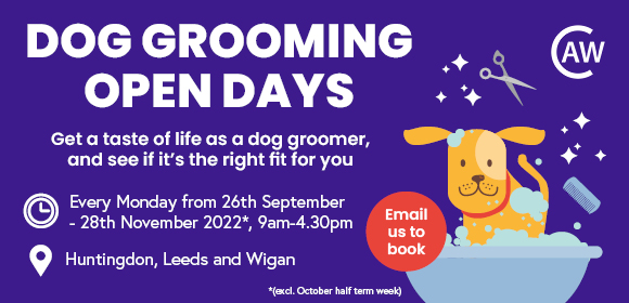 Dog Grooming Open Days