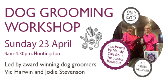 Dog Grooming Workshop