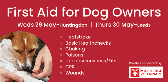 First Aid for Dog Owners