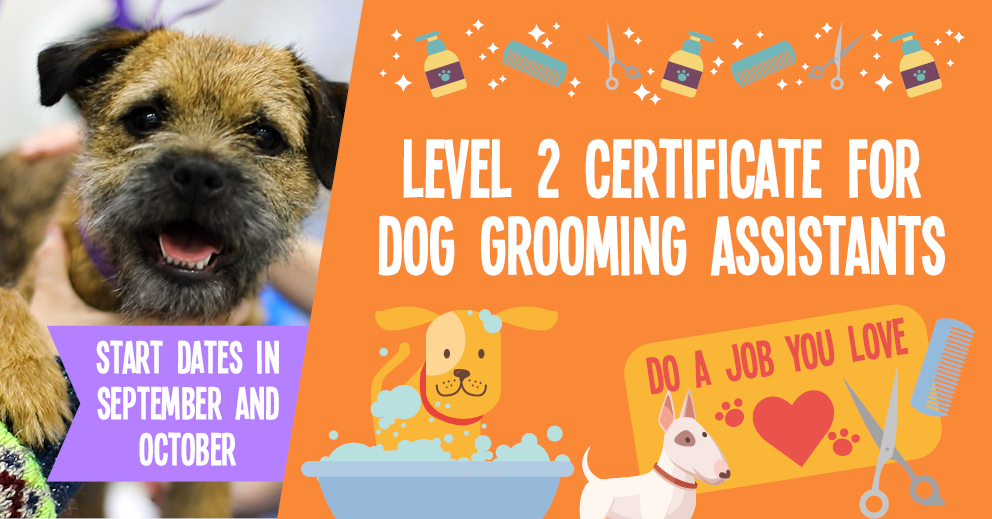 The College of Animal Welfare, since 1989 CAW