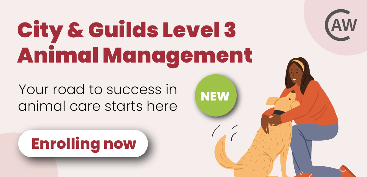 Level 3 Animal Management