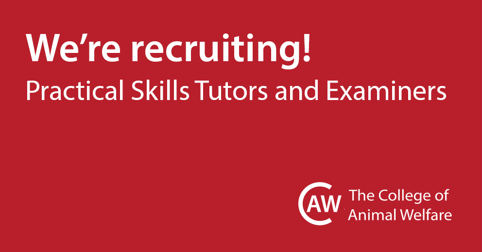 'We are recruiting practical skills tutors and examiners' advert