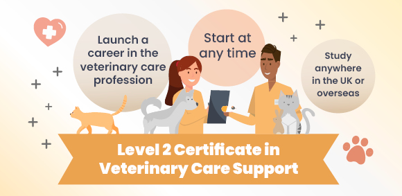 Level 2 Certificate in Veterinary Care Support