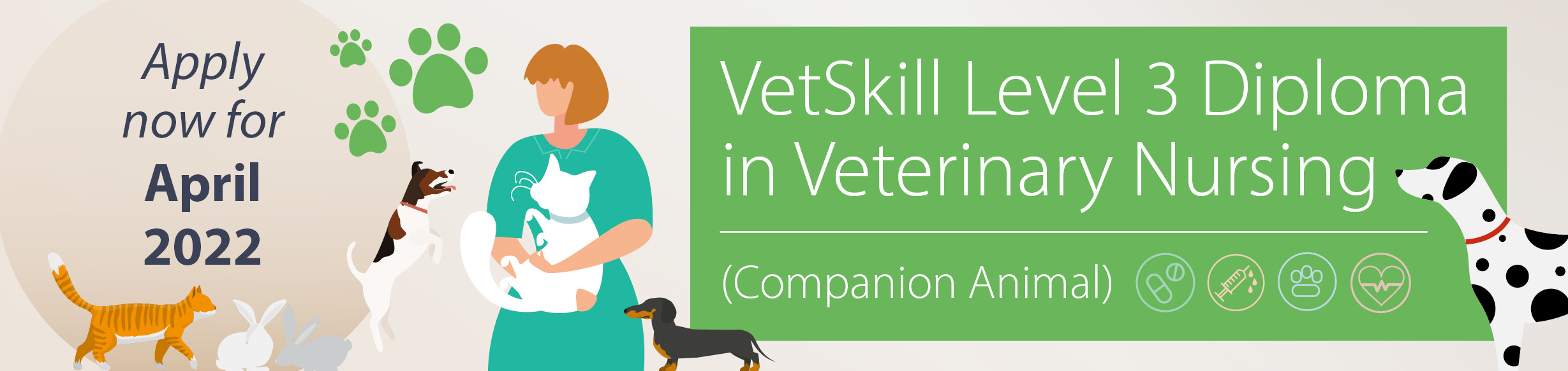 Start studying the Level 3 Diploma in Veterinary Nursing in April 2022