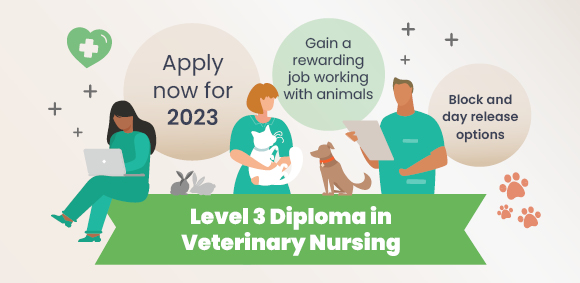 The College of Animal Welfare, since 1989 | CAW The College of Animal Welfare, since 1989 | CAW