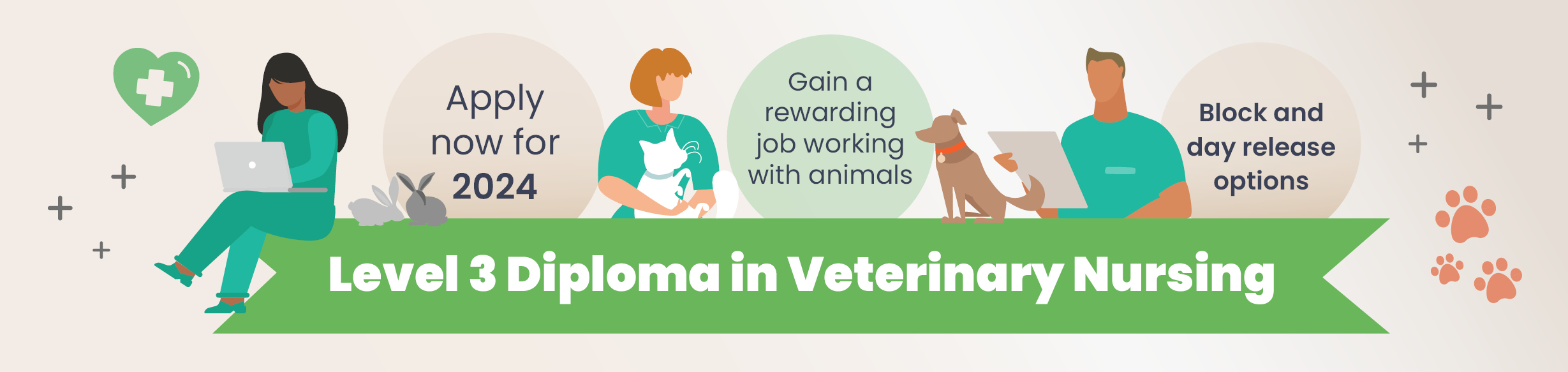 Start studying the Level 3 Diploma in Veterinary Nursing in January 2023