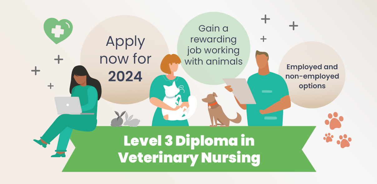 Start studying the Level 3 Diploma in Veterinary Nursing in January 2023