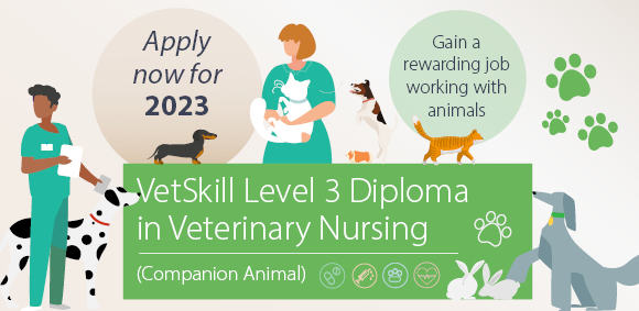 Start studying the Level 3 Diploma in Veterinary Nursing in January 2023