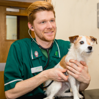 Male vet icon