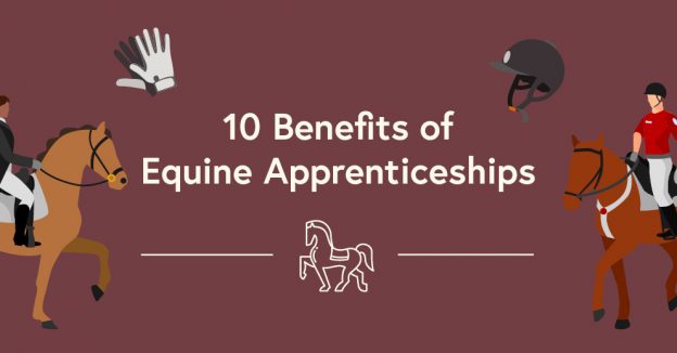 Equine Apprenticeships Benefits
