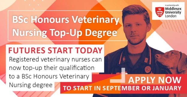 BSc Hons Top Up Degree Veterinary Nursing Middlesex University Featured Image