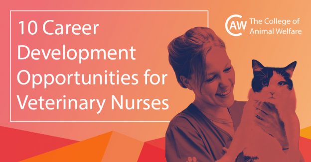 Career Development for Veterinary Nurses