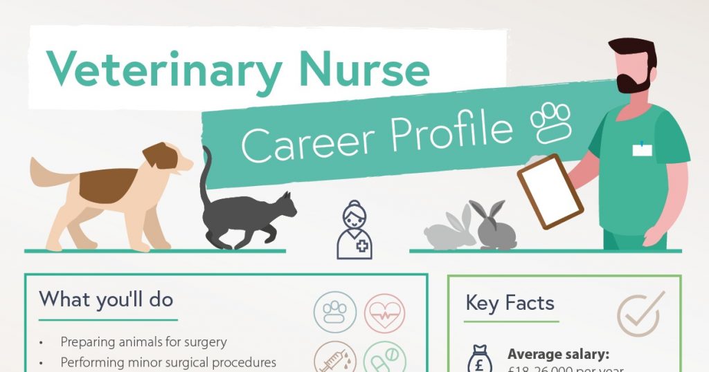 Veterinary Nursing Career Profile Infographic Preview
