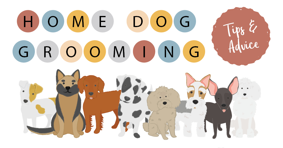 Home Dog Grooming Top Tips and Advice
