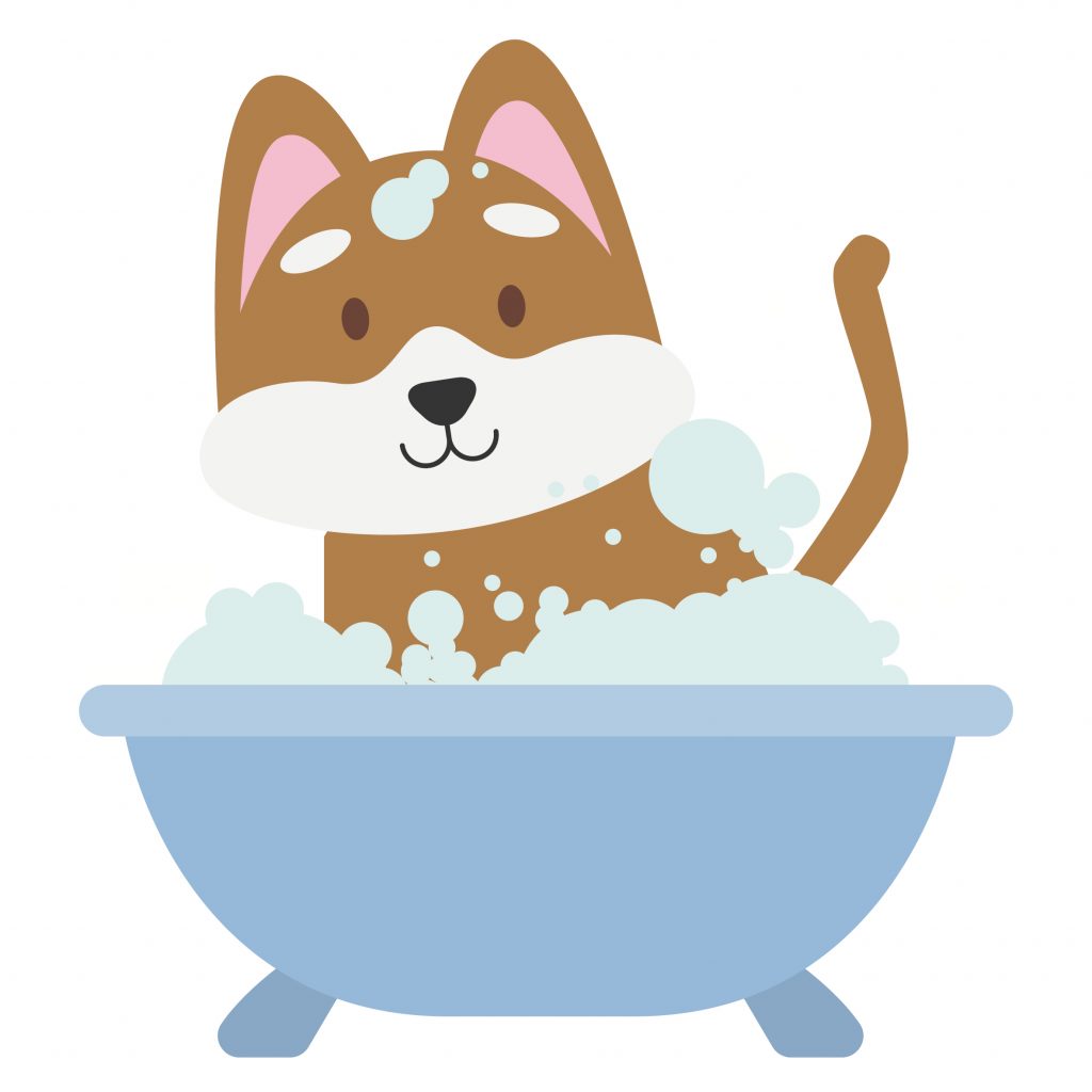 Dog In Bath - Dog Grooming Career Guide