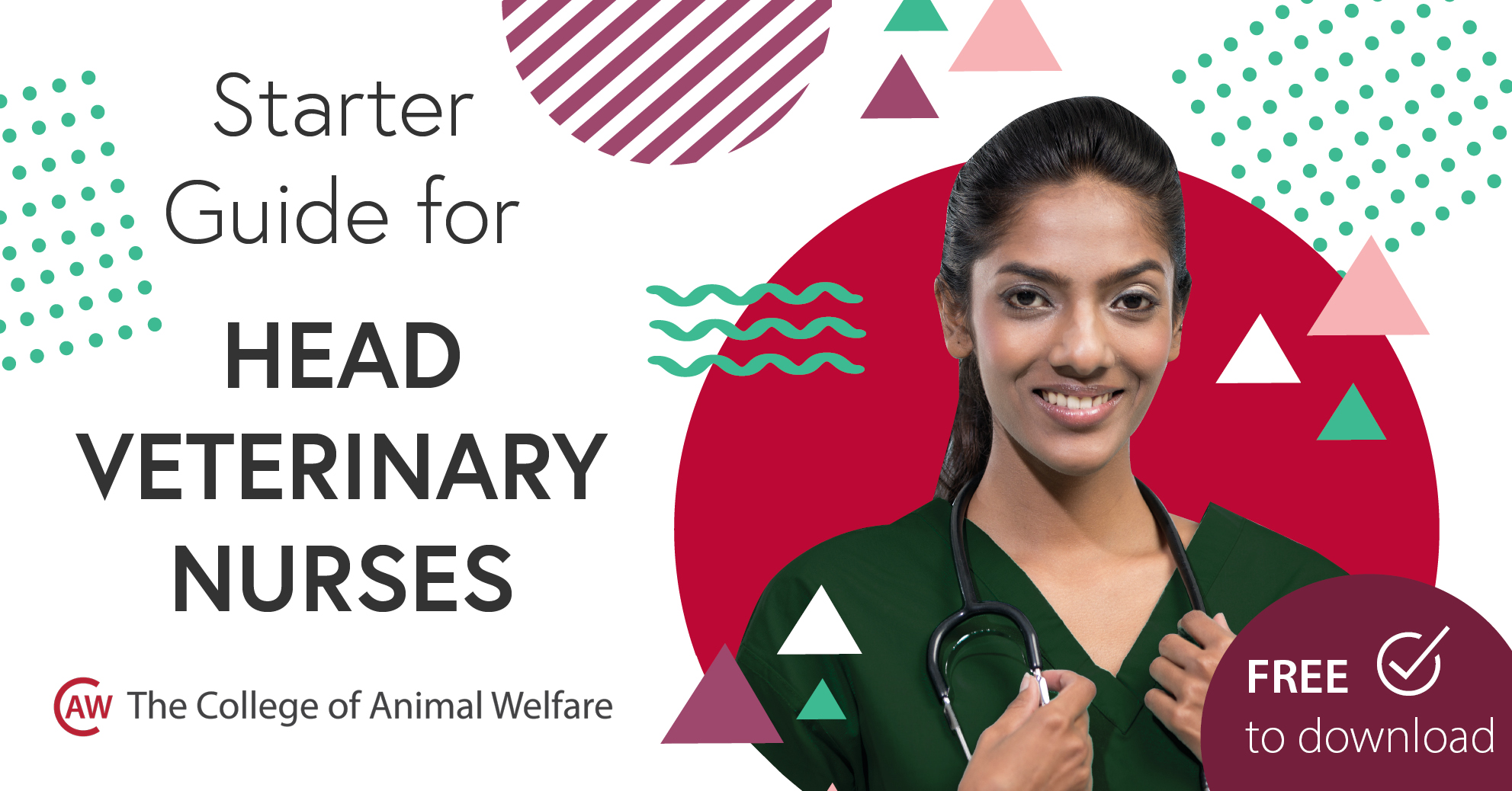 Starter Guide for Head Veterinary Nurses