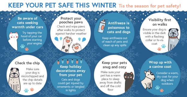 Tips to Keep Warm this Holiday Season