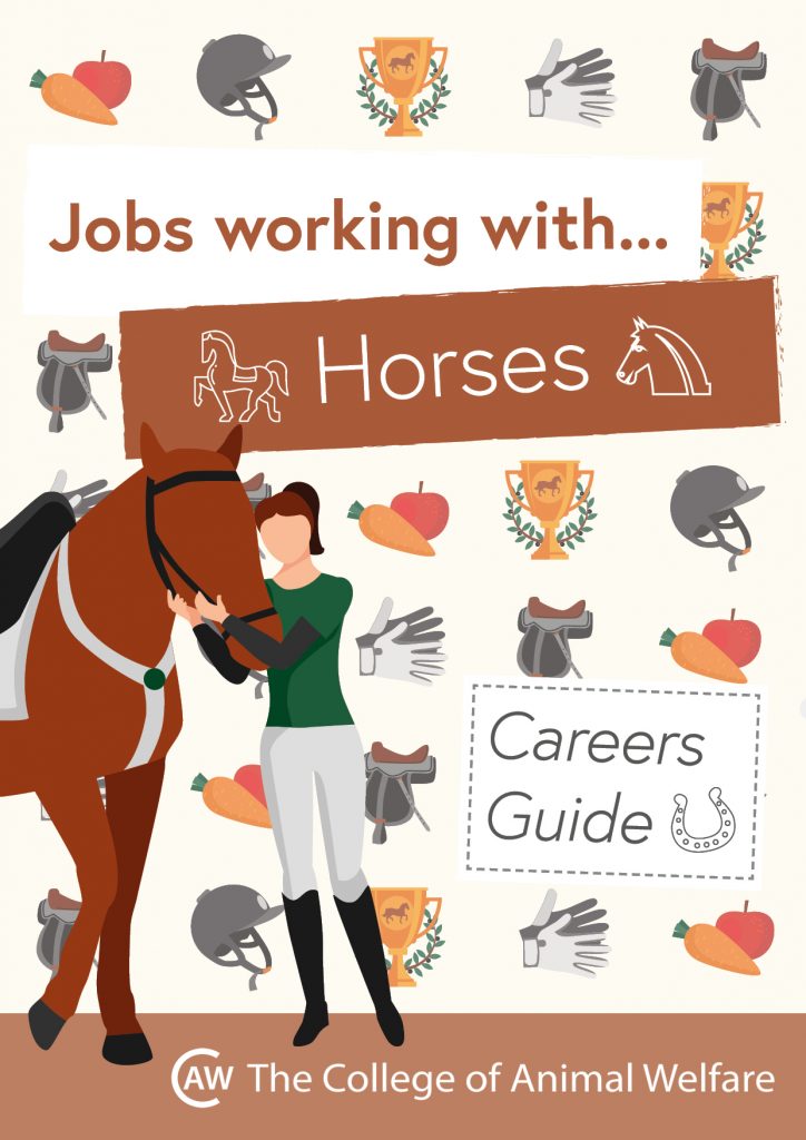 Animal career guides - Horses