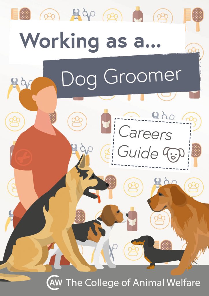 Animal career guides - Dog Groomer