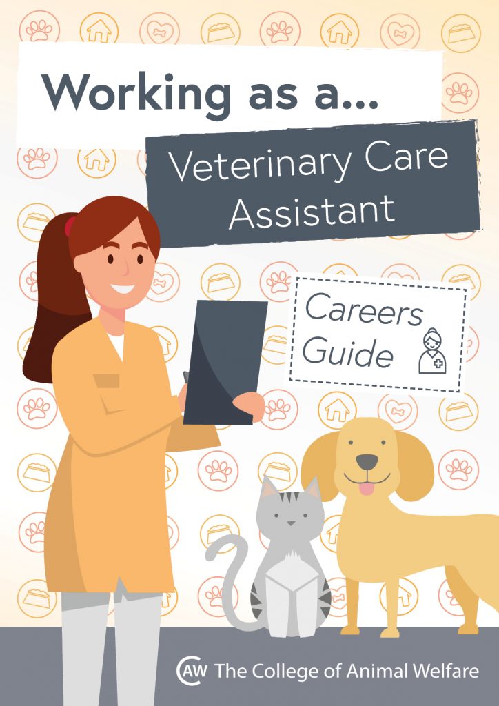 Animal career guides - Veterinary Care Assistant