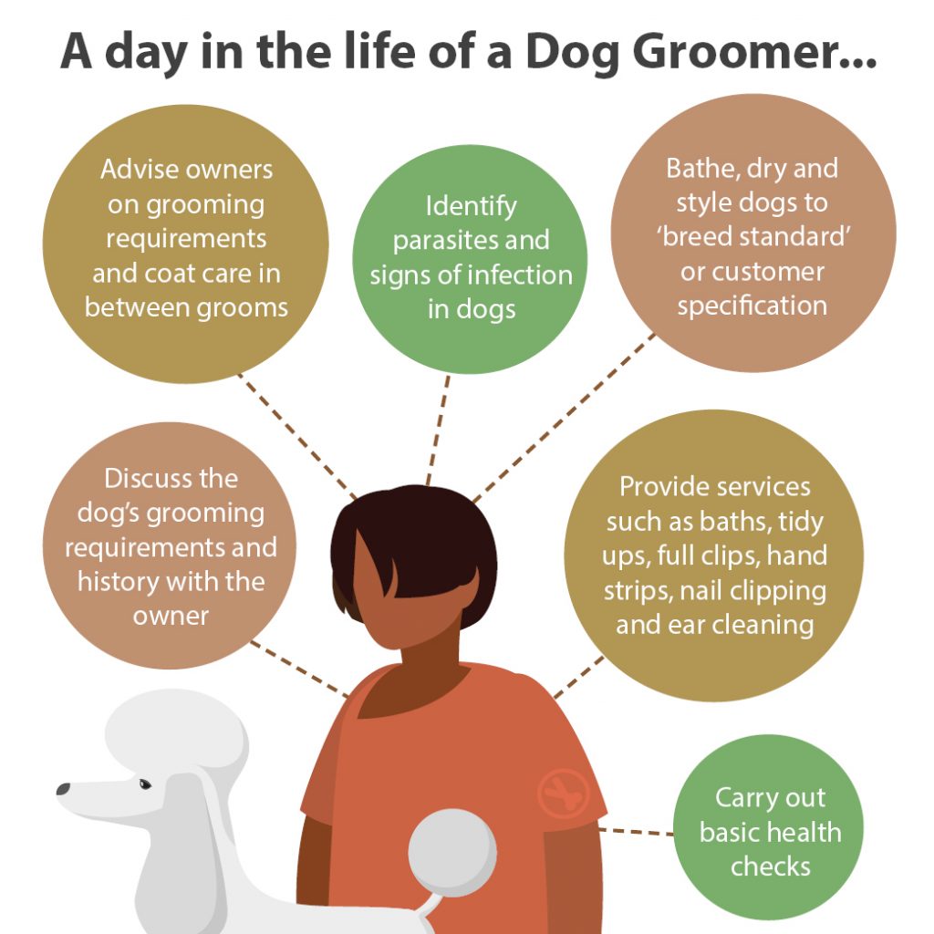 A day in the life of a dog groomer