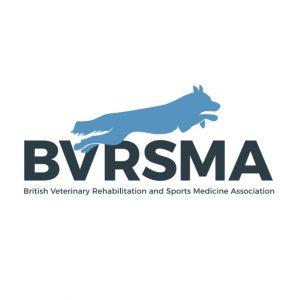 BVRSMA