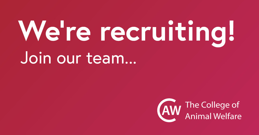 Jobs at CAW | CAW Jobs at CAW | CAW