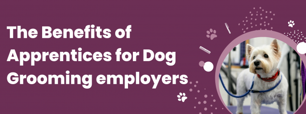 Benefits of Apprentices for Dog Grooming Employers