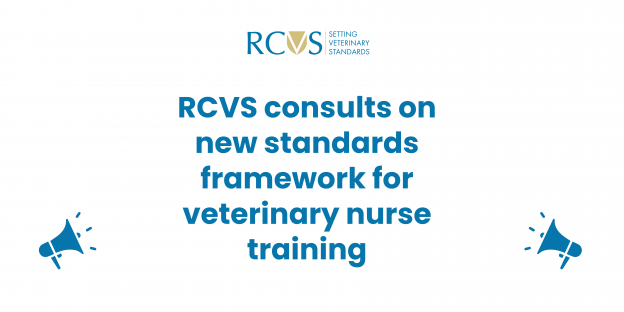 RCVS VN Training Consultation