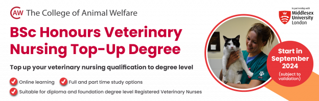 BSc Top Up Veterinary Nursing Degree