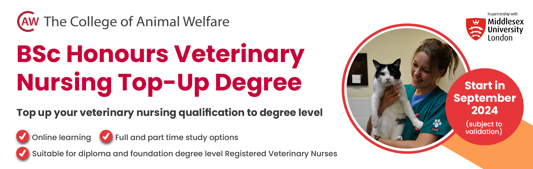 BSc Top Up Veterinary Nursing Degree