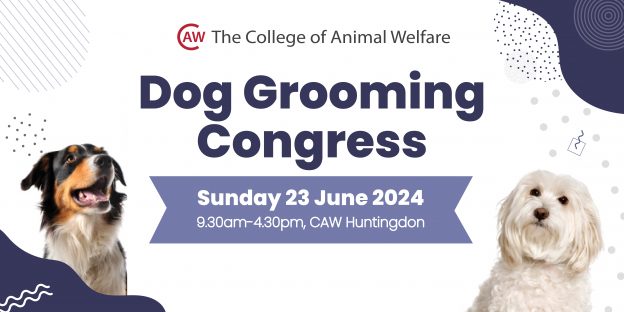 Dog Grooming Congress Header